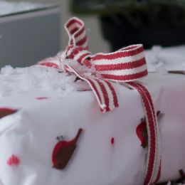 Red & White Stripe Cotton Ribbon