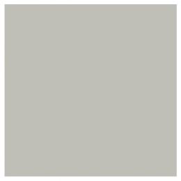 Swedish Grey Paint