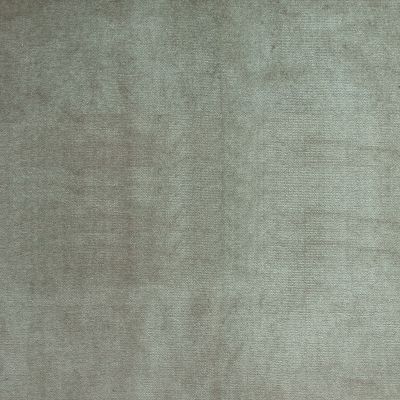 Silver Mist Cotton Velvet - SALE