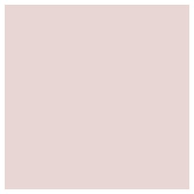 Pale Rose Umber Paint